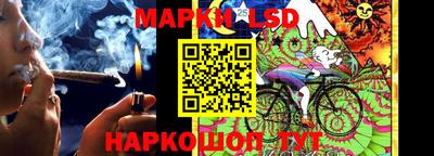 a pvp Ставрополь